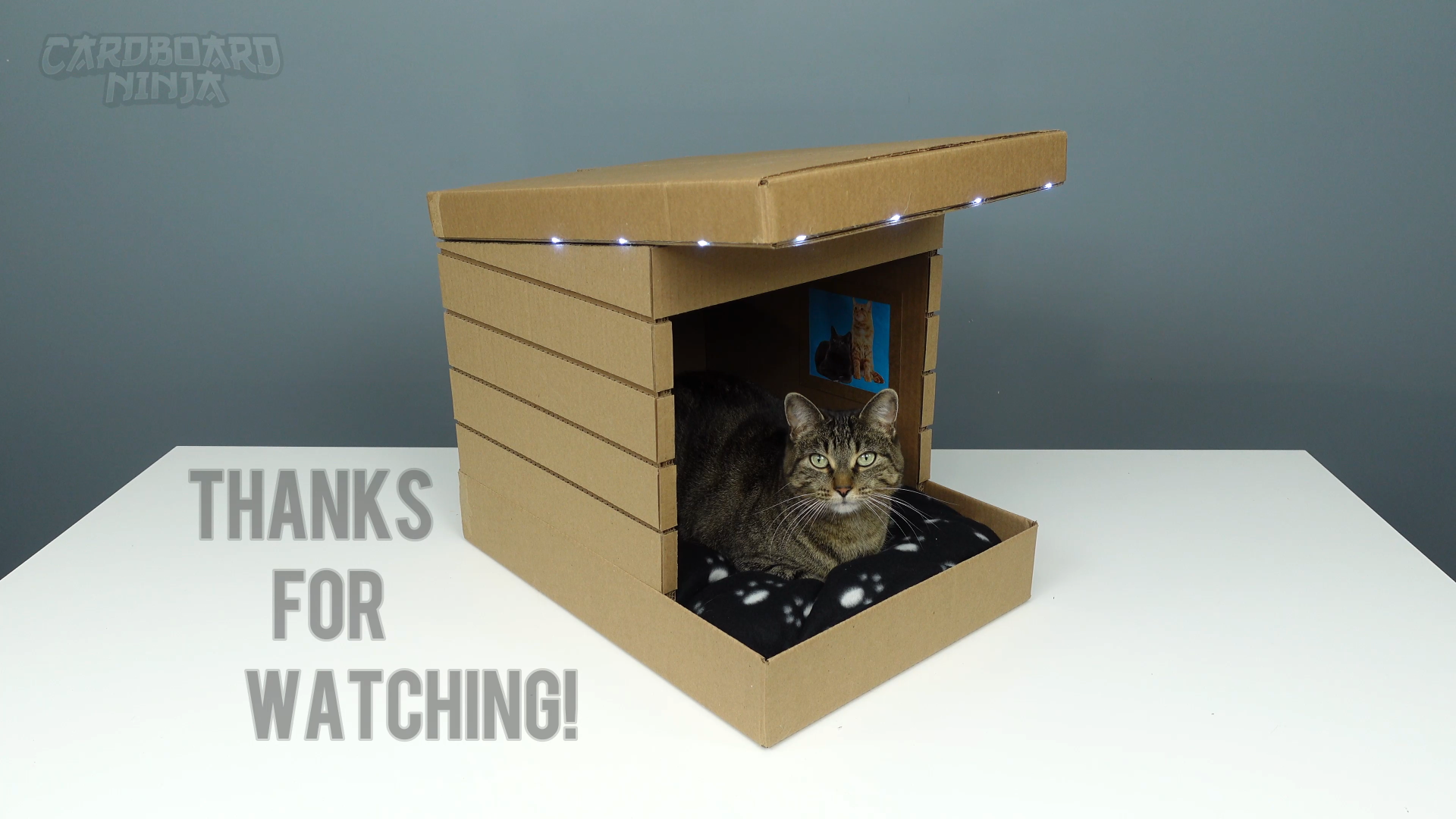 modern_cardboard_cat_house_2V2.png