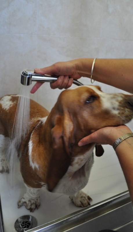 molly_in_shower_1.jpg