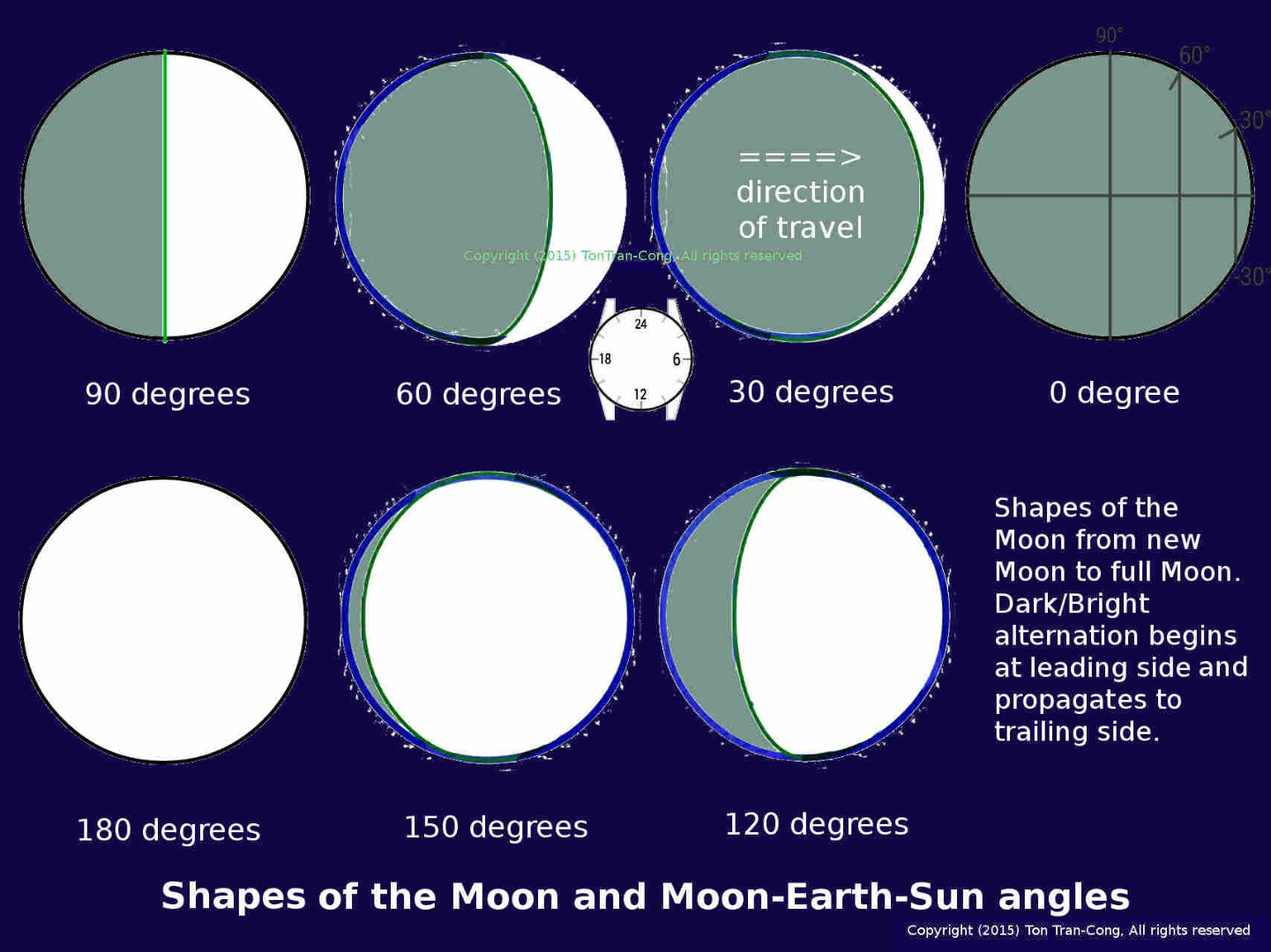 moonshapesNangles2LC.jpg