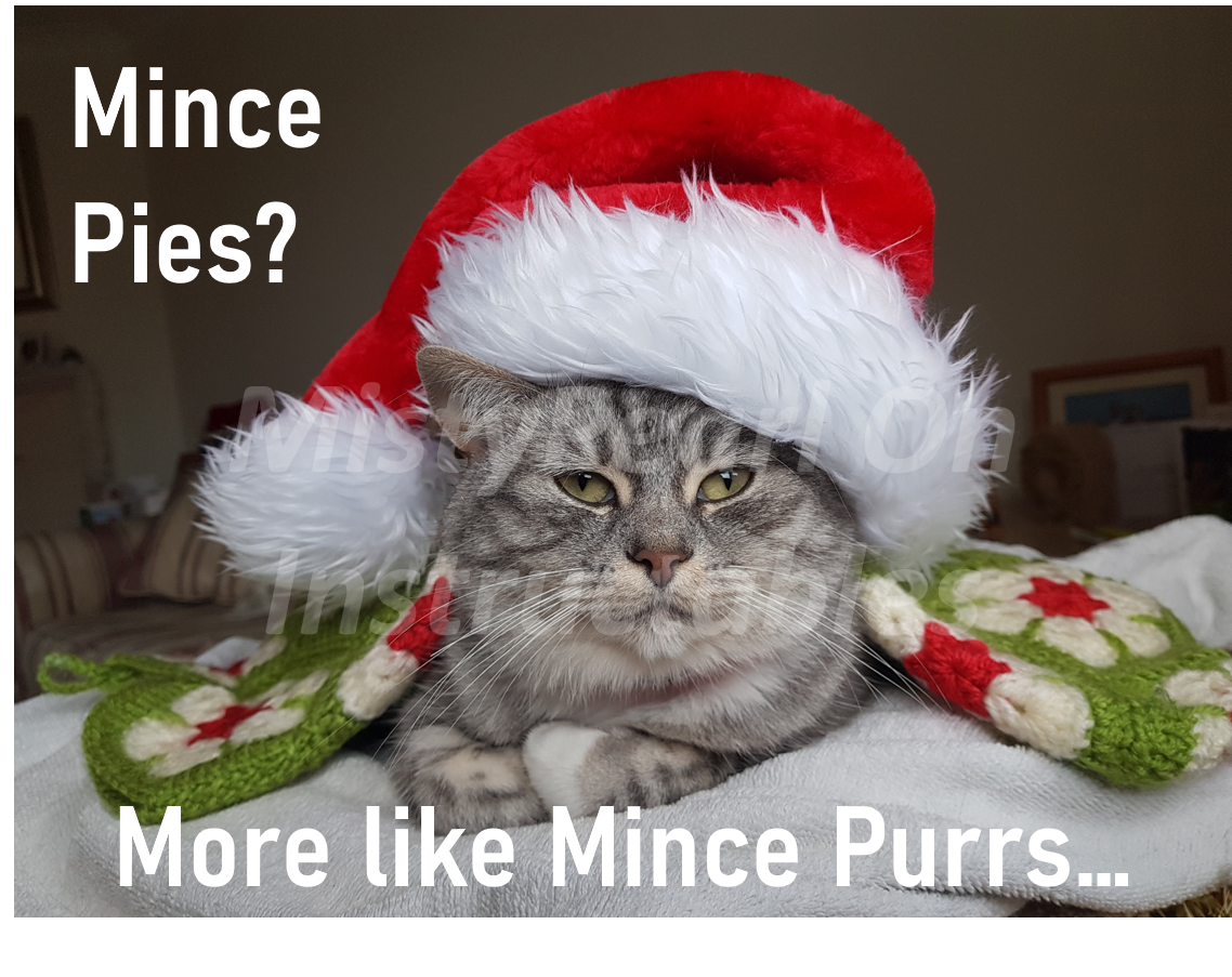 more like mince purrs.png