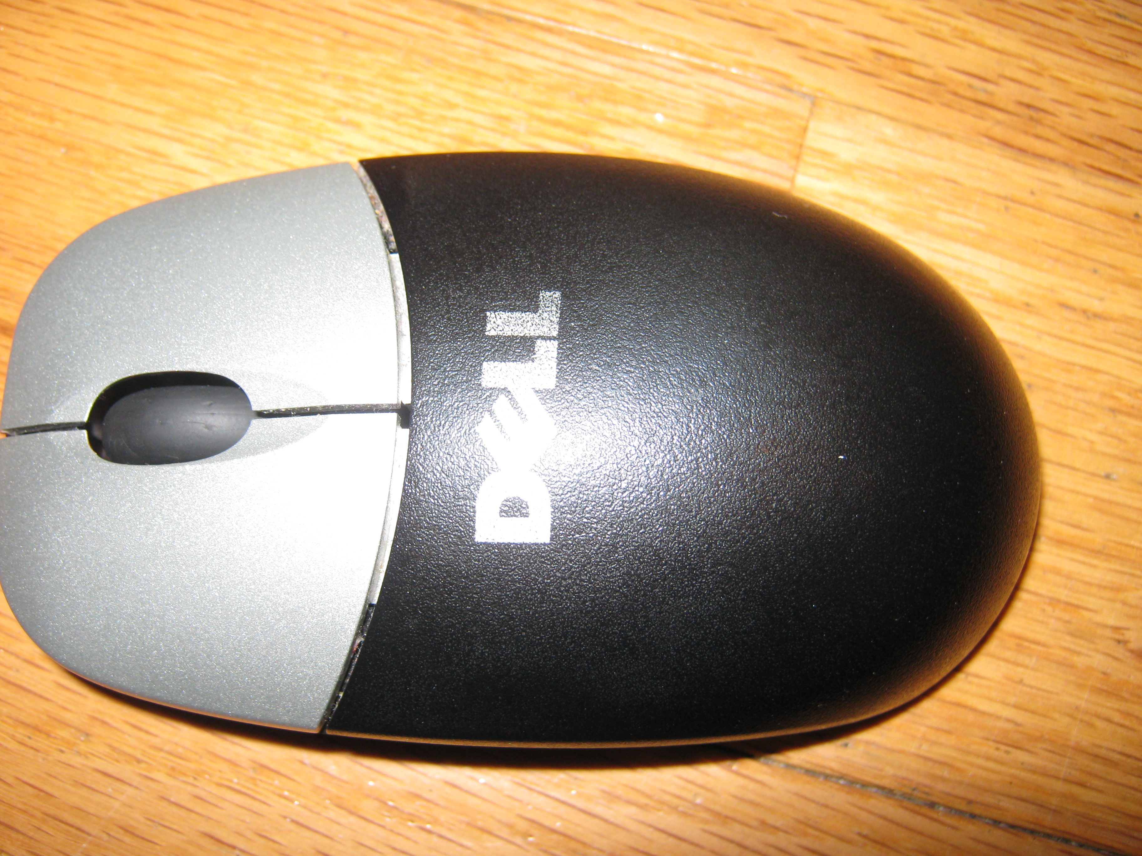 mouse 002.JPG