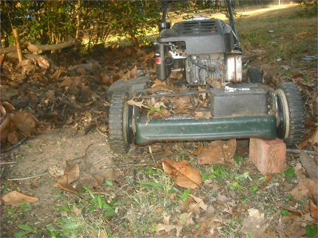 mower mulch.jpg