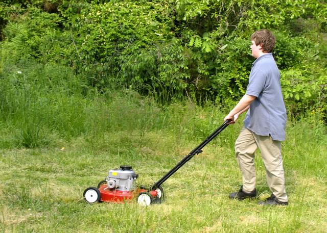 mowinggrass.jpg