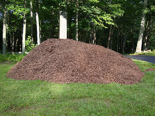 mulch_pit.jpg