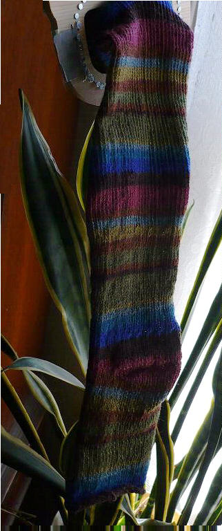 mysock1.jpg