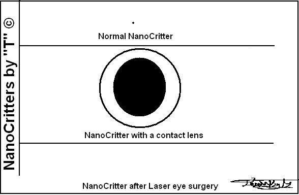 nanoeye.JPG