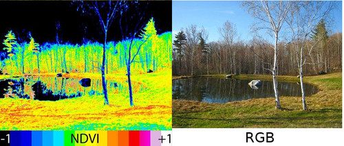 ndvi-vis-comparison.jpg