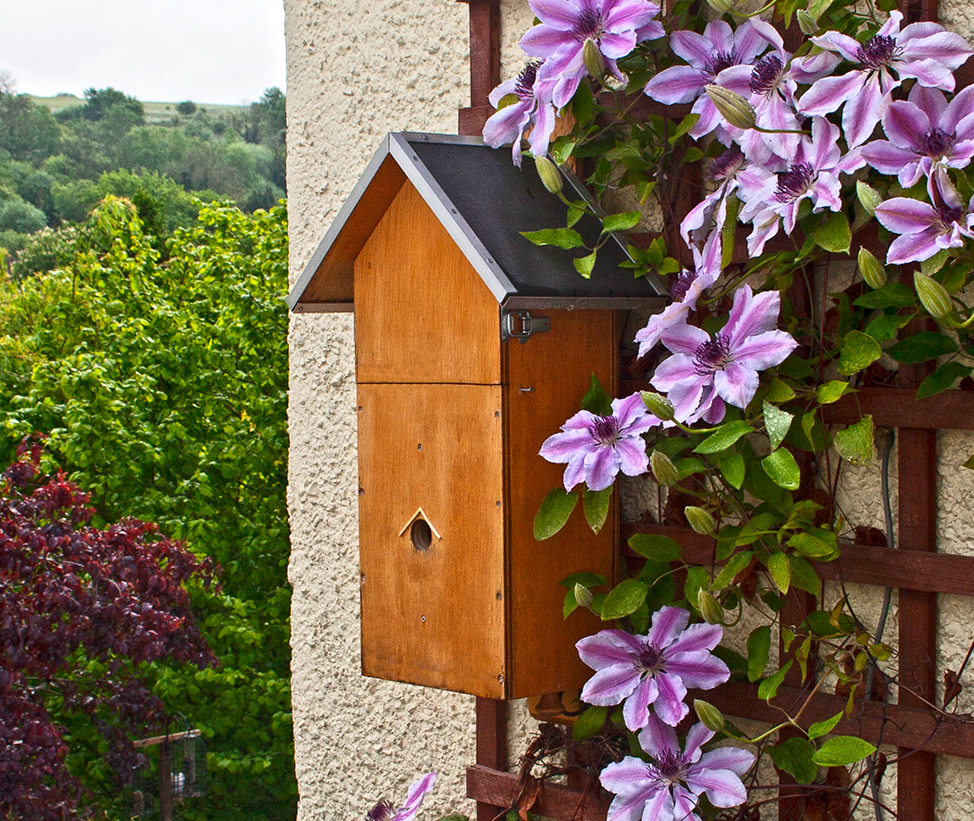 nestbox HDR sm.jpg