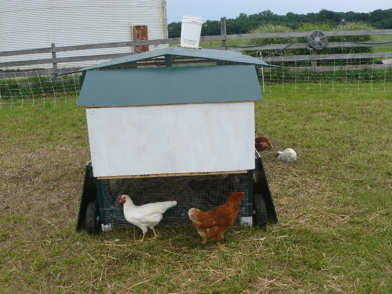 nestbox1.JPG