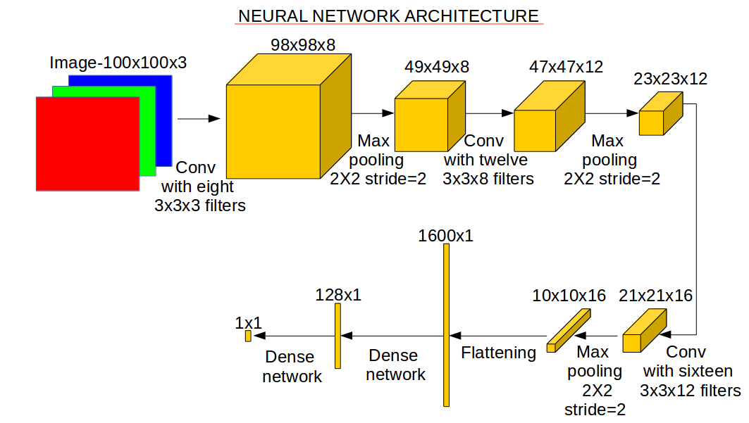 network.png