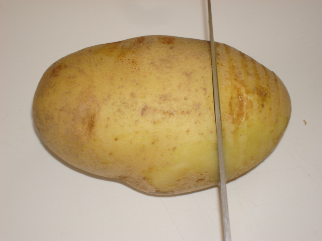 no hassel 004.JPG