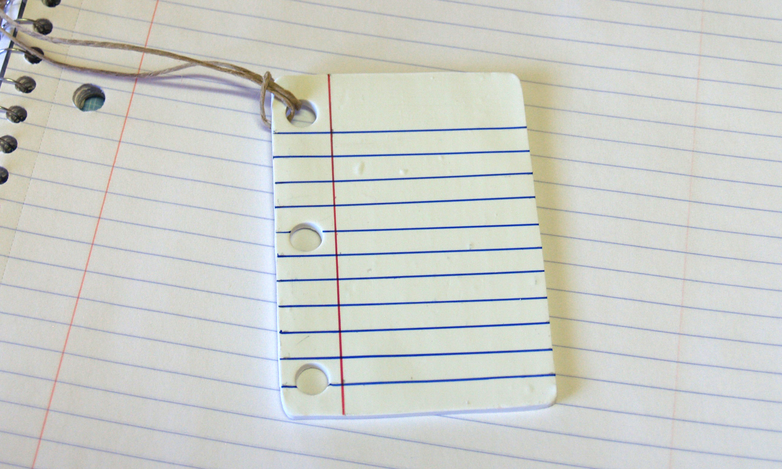 notebookOrnament14.jpg