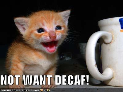 notwantdecaf.jpg