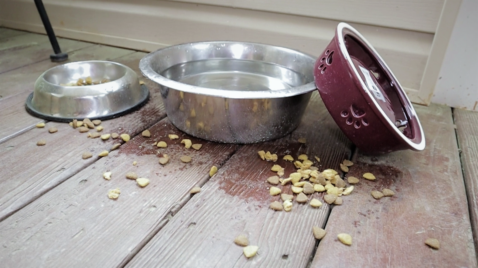 old dog food bowls.PNG