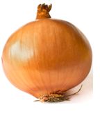 onion.JPG