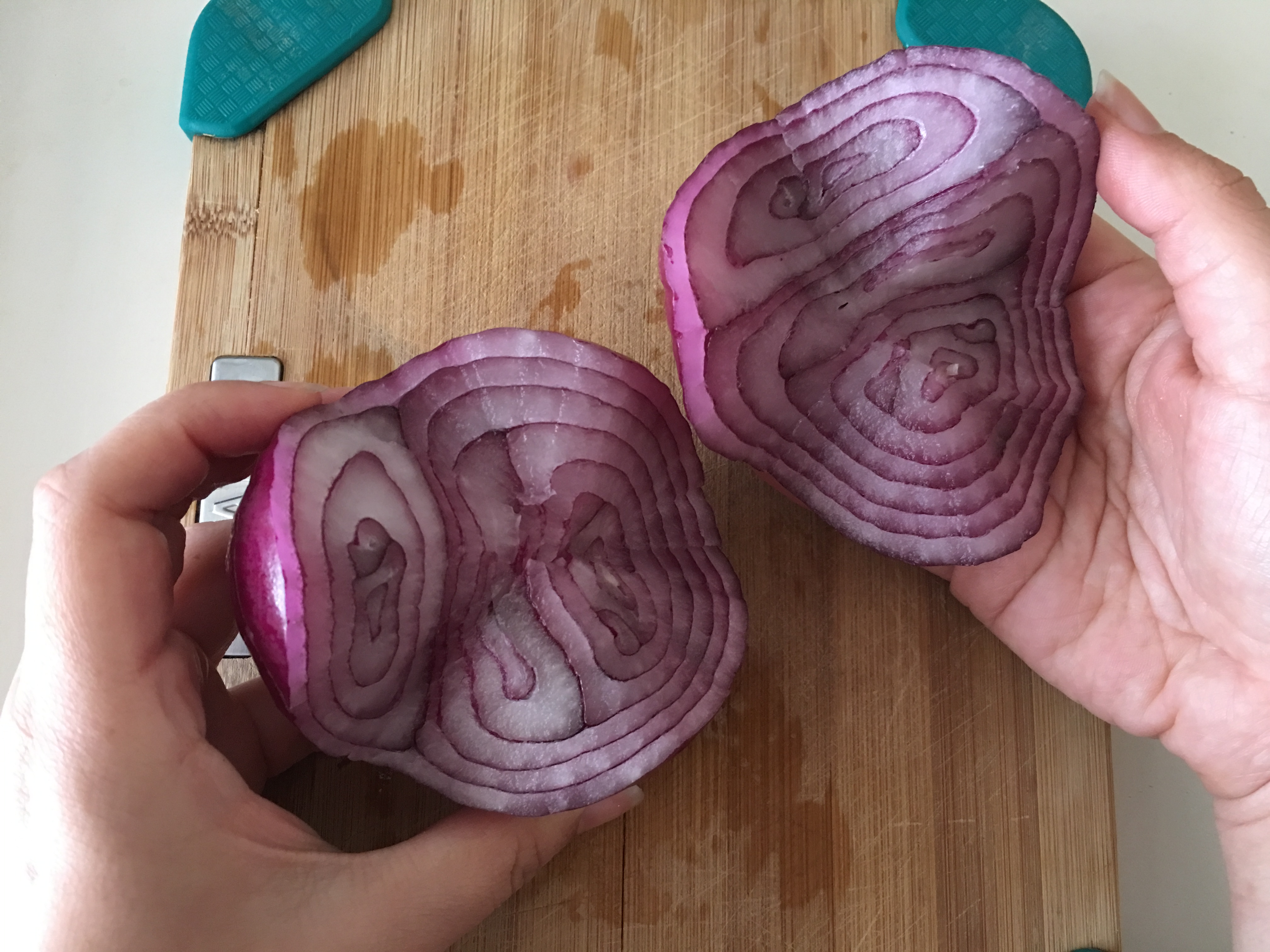 onion4.JPG