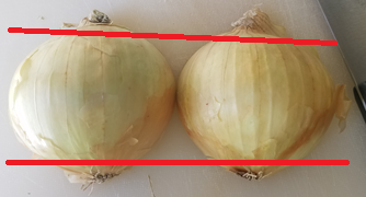 oniondiagram.png