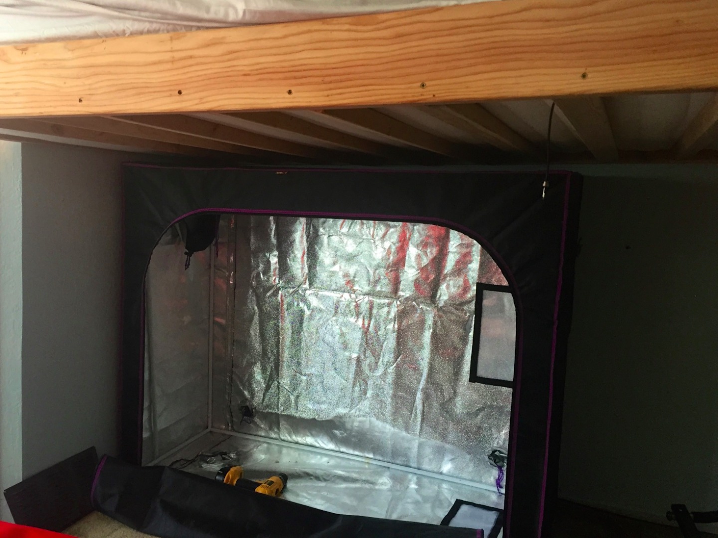 open grow tent.jpg