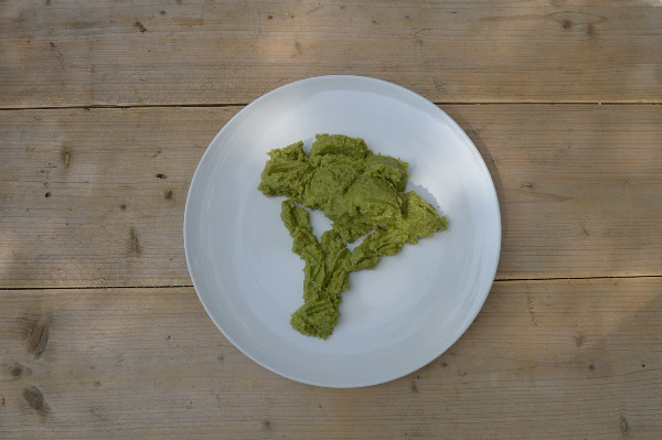 openproducts_-_broccoli_sculpture_-_draft_shape.jpg