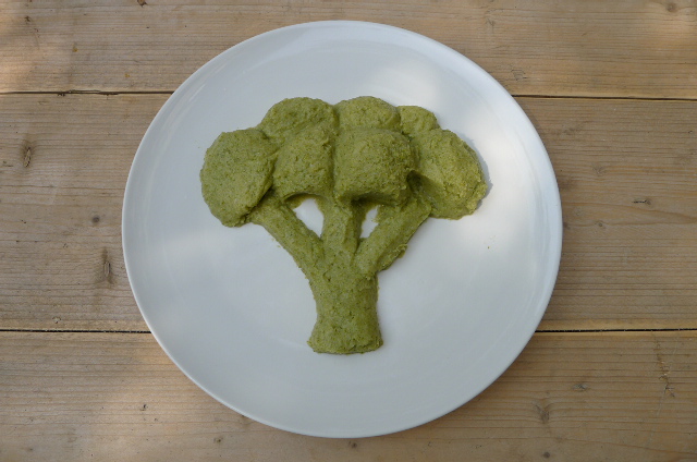 openproducts_-_broccoli_sculpture_-_intermediate_stage_1.jpg