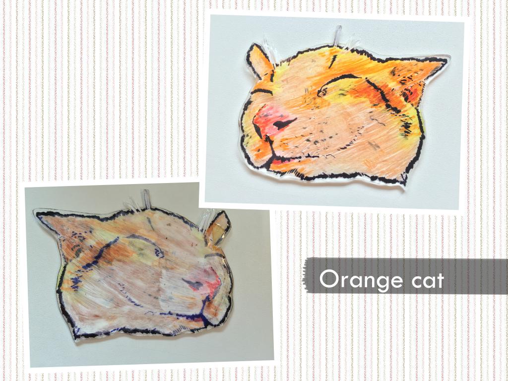 orange cat.jpg