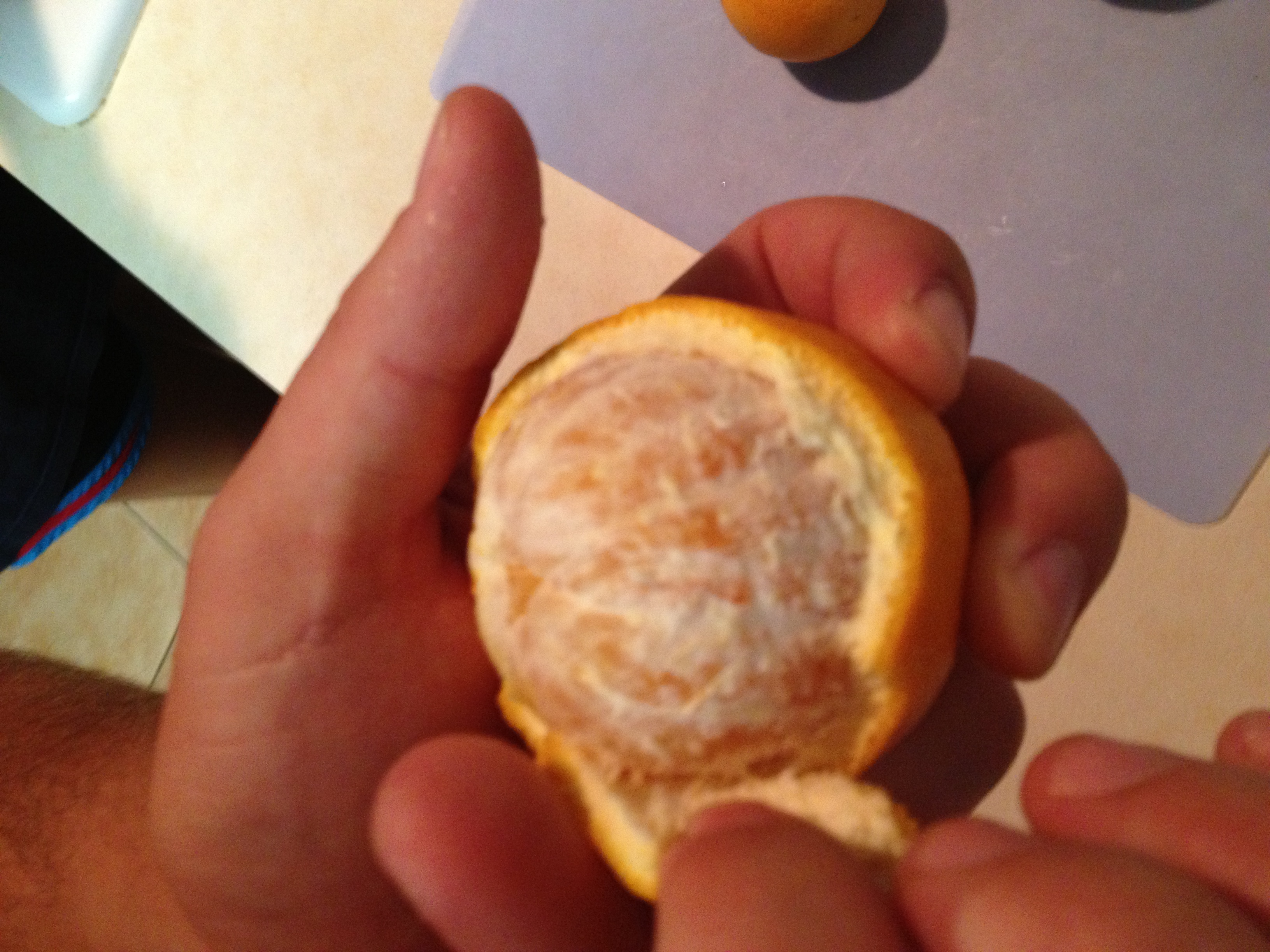 oranges peeled.JPG