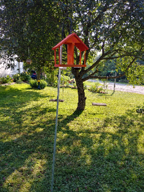 oriole feeder outside full size with pole.png