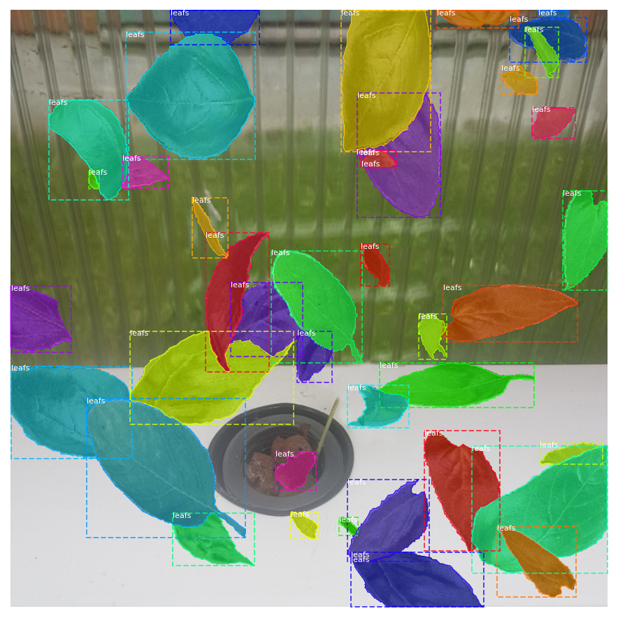 output6.png