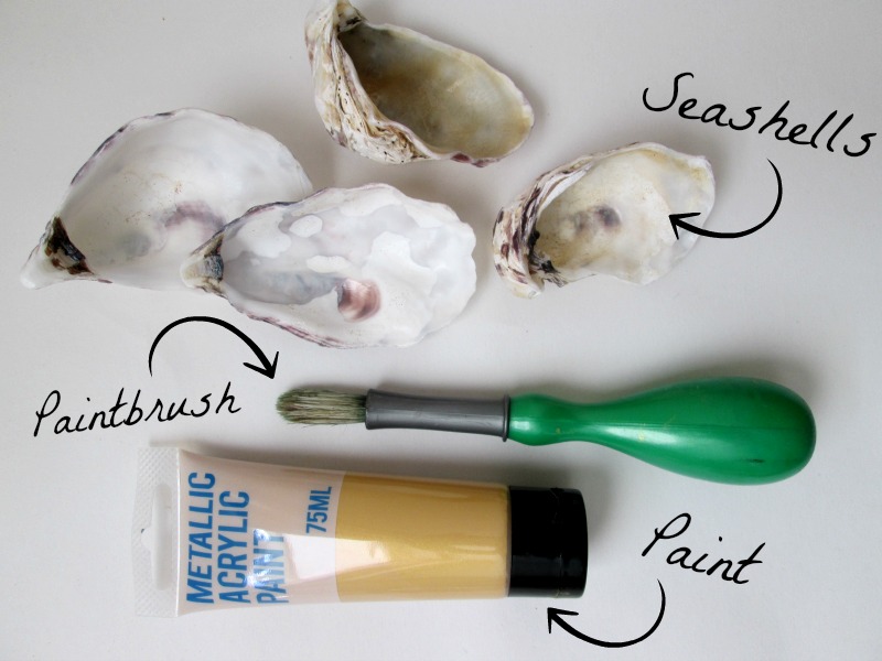 oyster shell 1.jpg