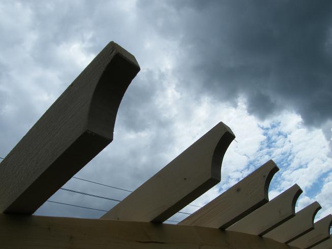 p12.jpg