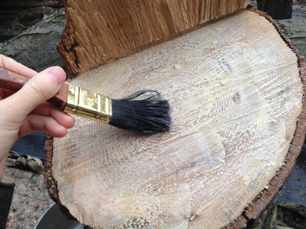 paint mushroom log with wax.jpg