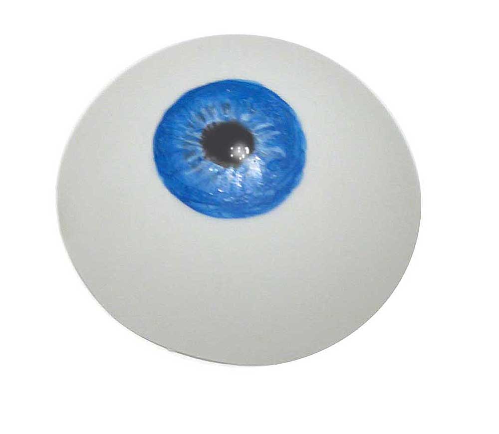 paint-iris-and-pupil.jpg