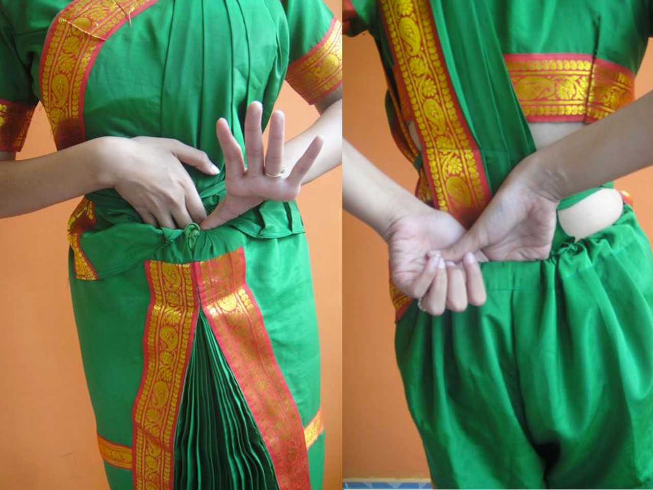 pallu3.jpg