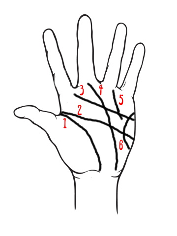 palmistry_1.jpg