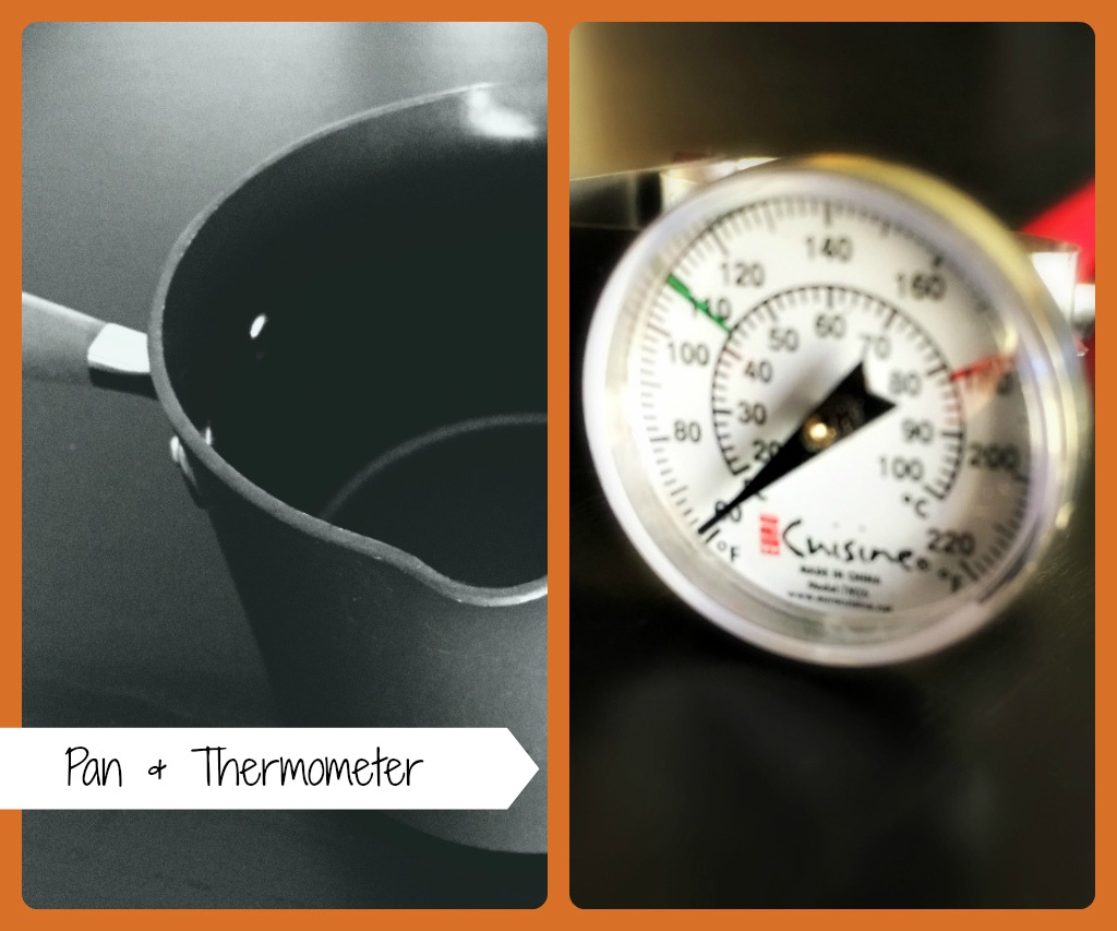 pan and thermometer.jpg