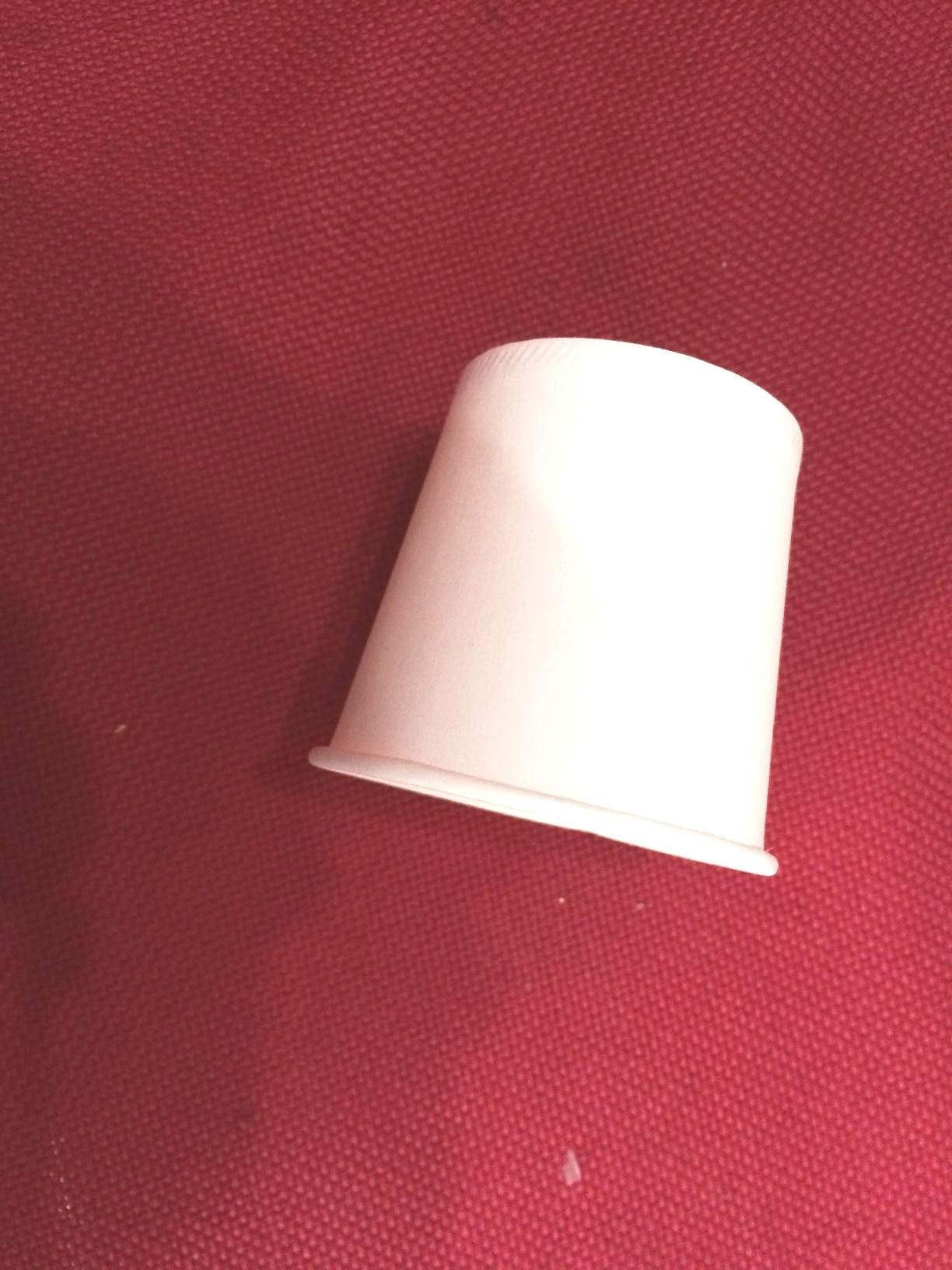 paper cup1_for cone.JPG