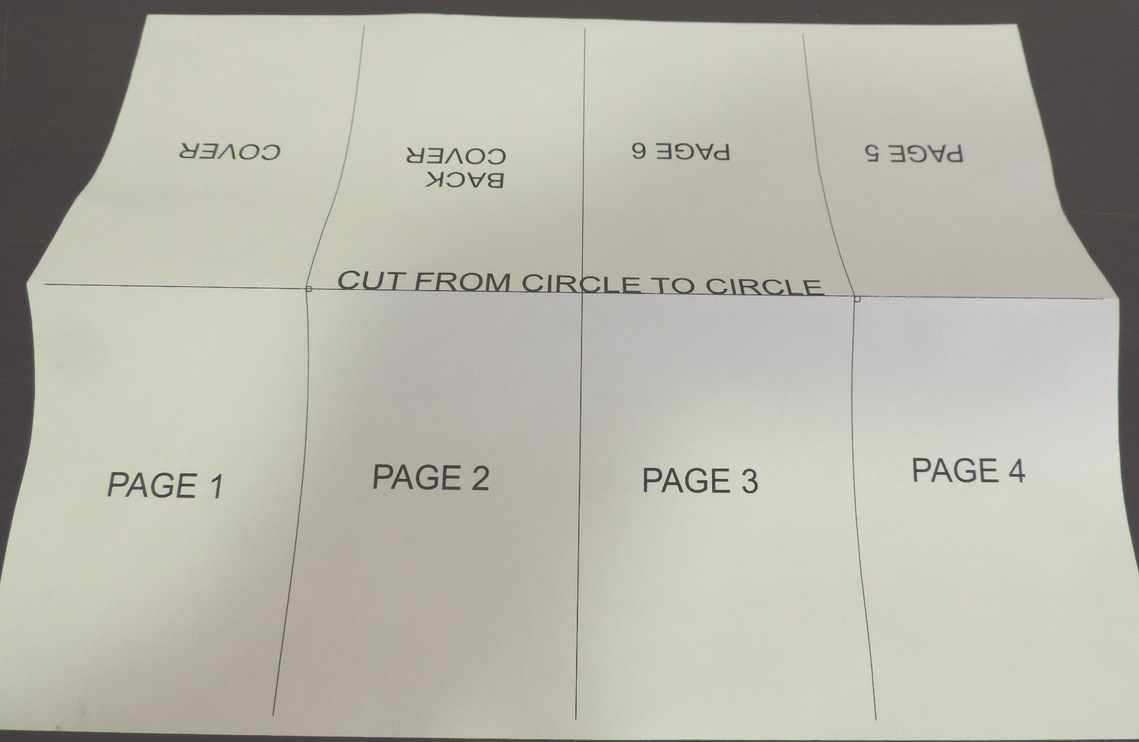 paper sm showing fold 1.jpg