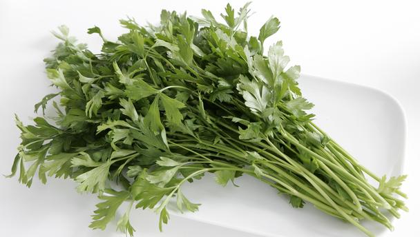 parsley_16x9.jpg