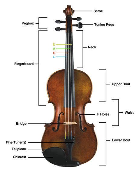 parts-of-the-violin.jpg