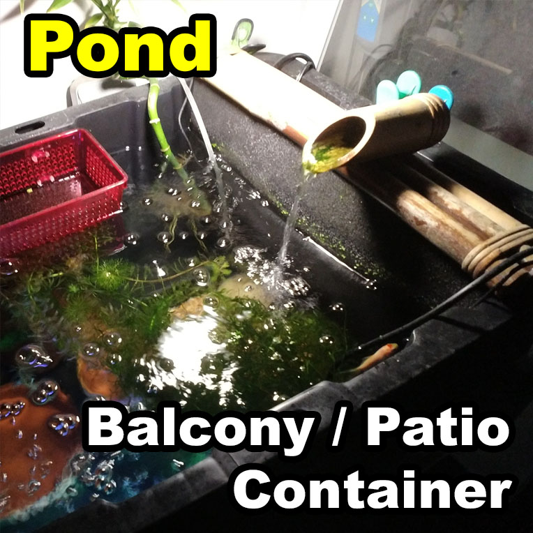 patio-balcony-pond-27-gallons-instructable.jpg