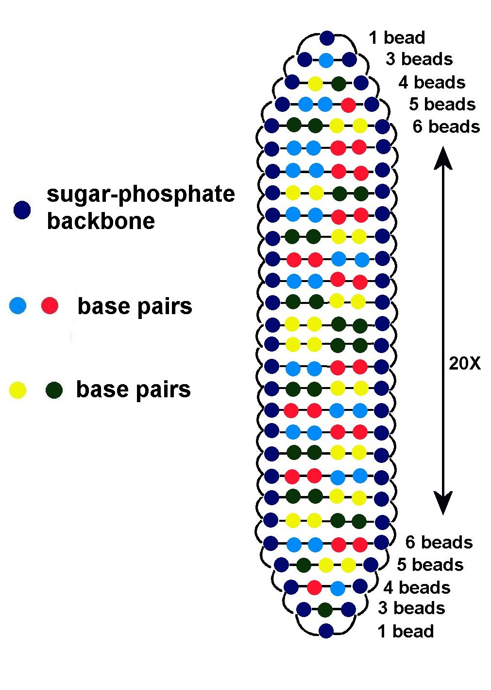 pattern.jpg