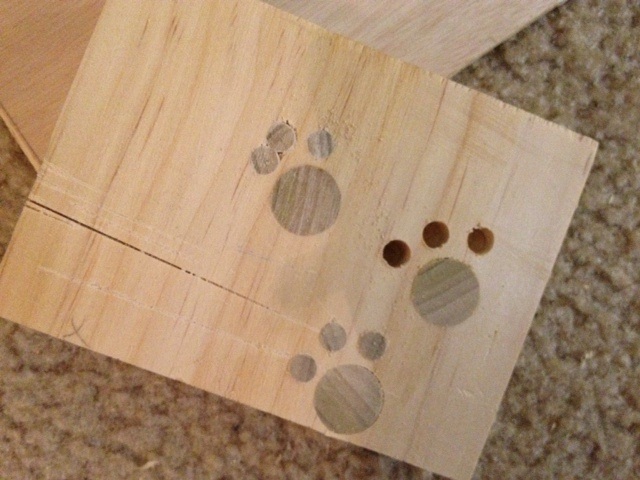 paw prints.jpg