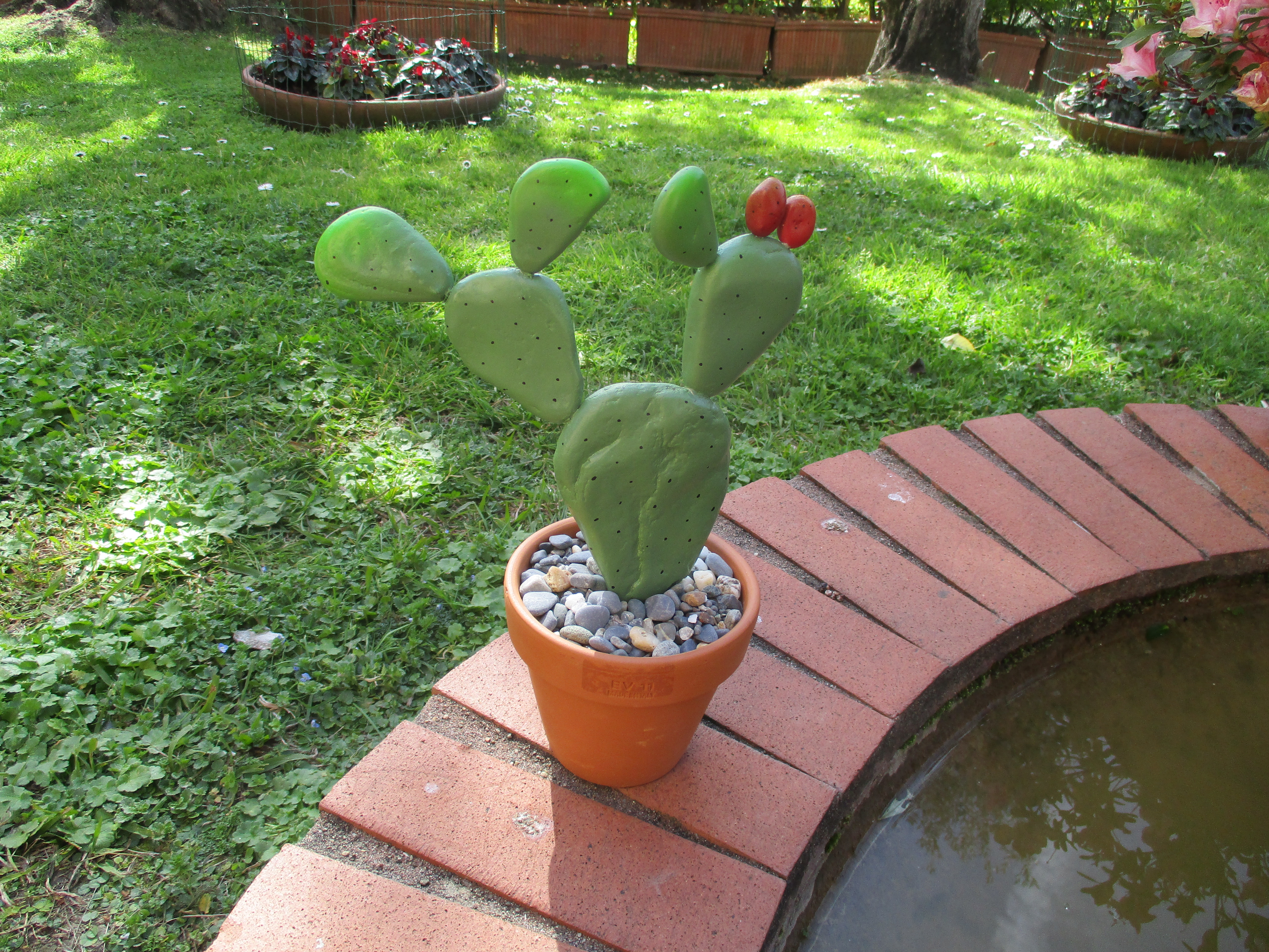 pebble_cactus1.JPG