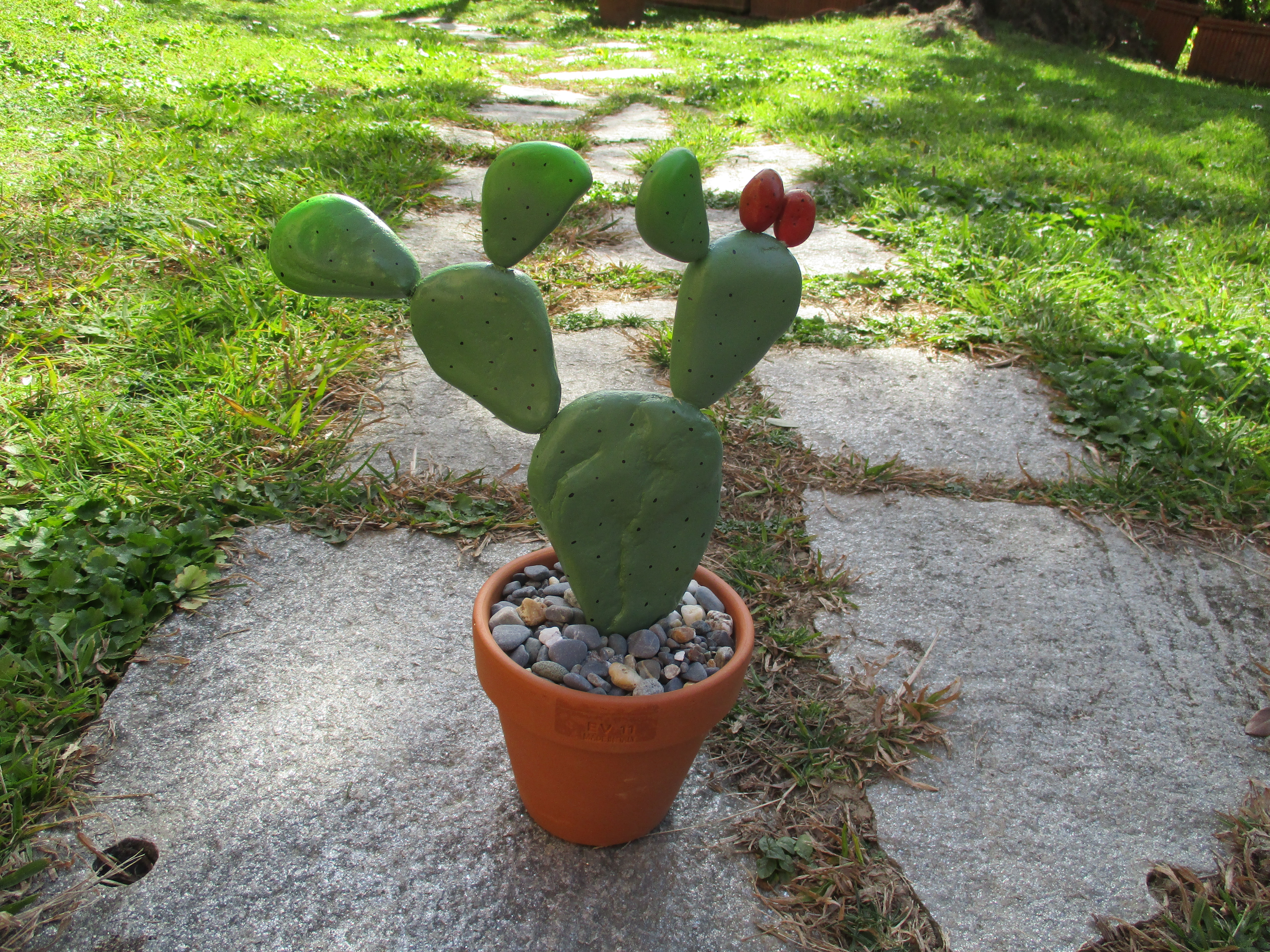 pebble_cactus2.JPG