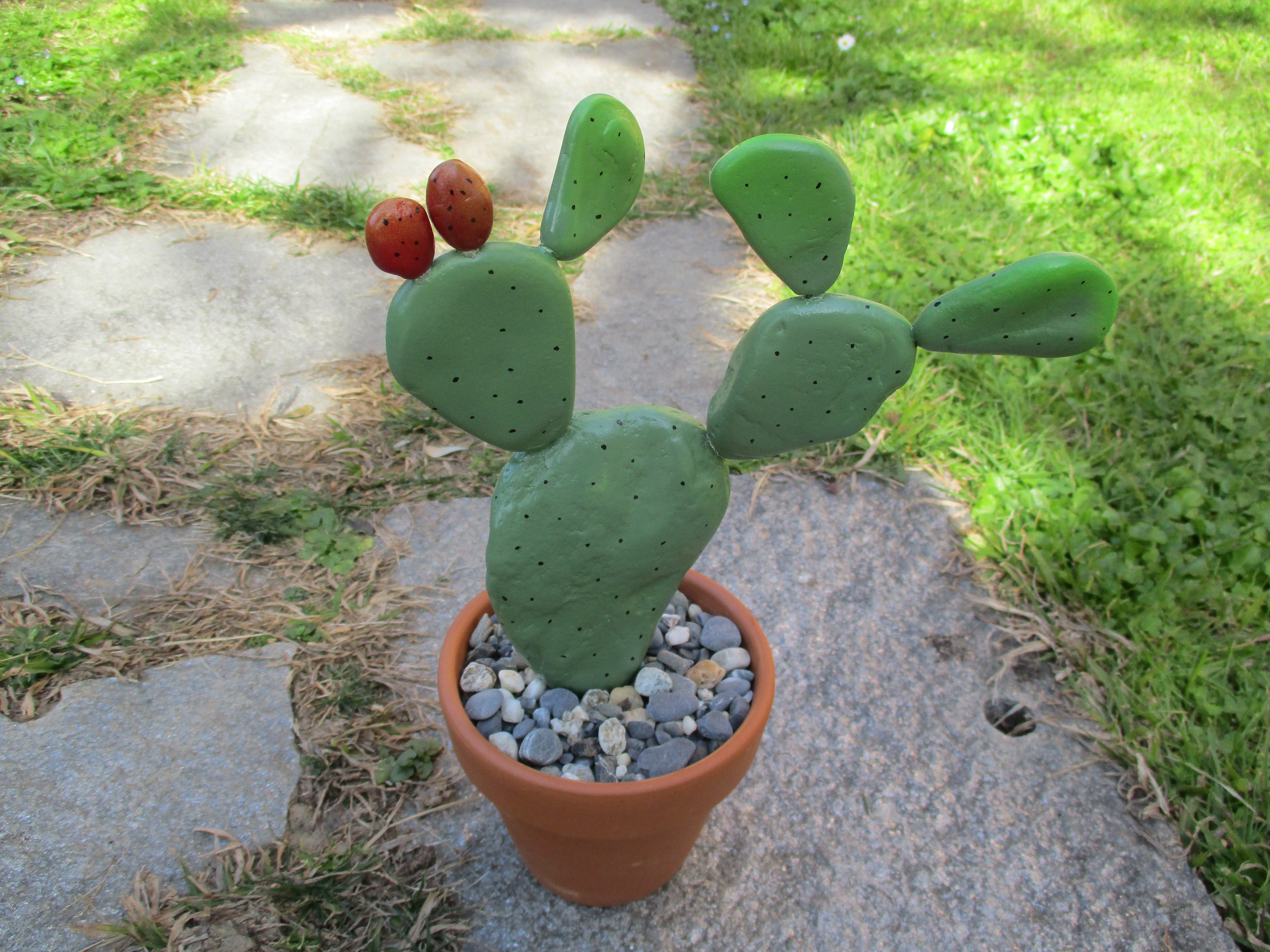 pebble_cactus3.JPG