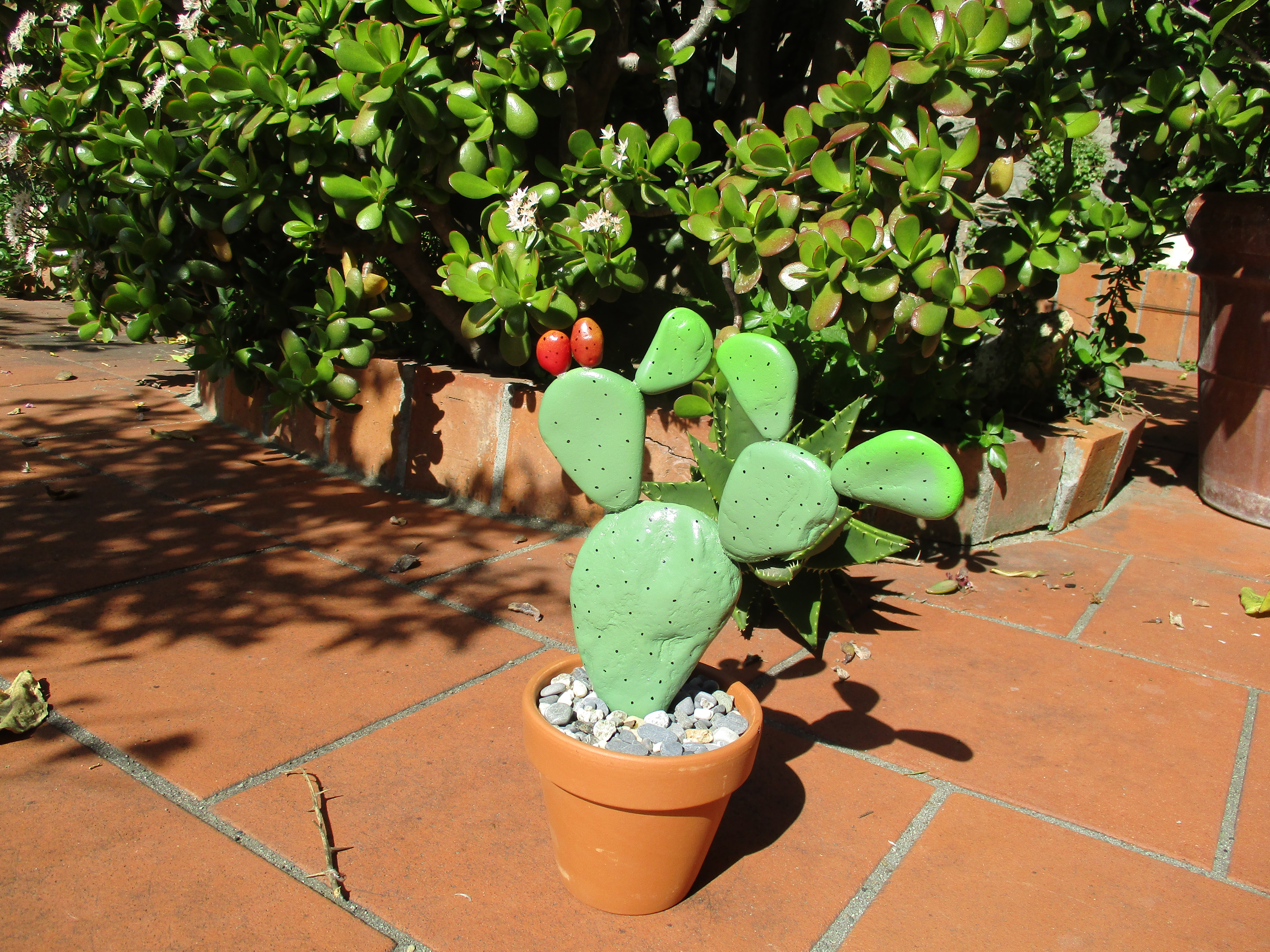 pebble_cactus6.JPG