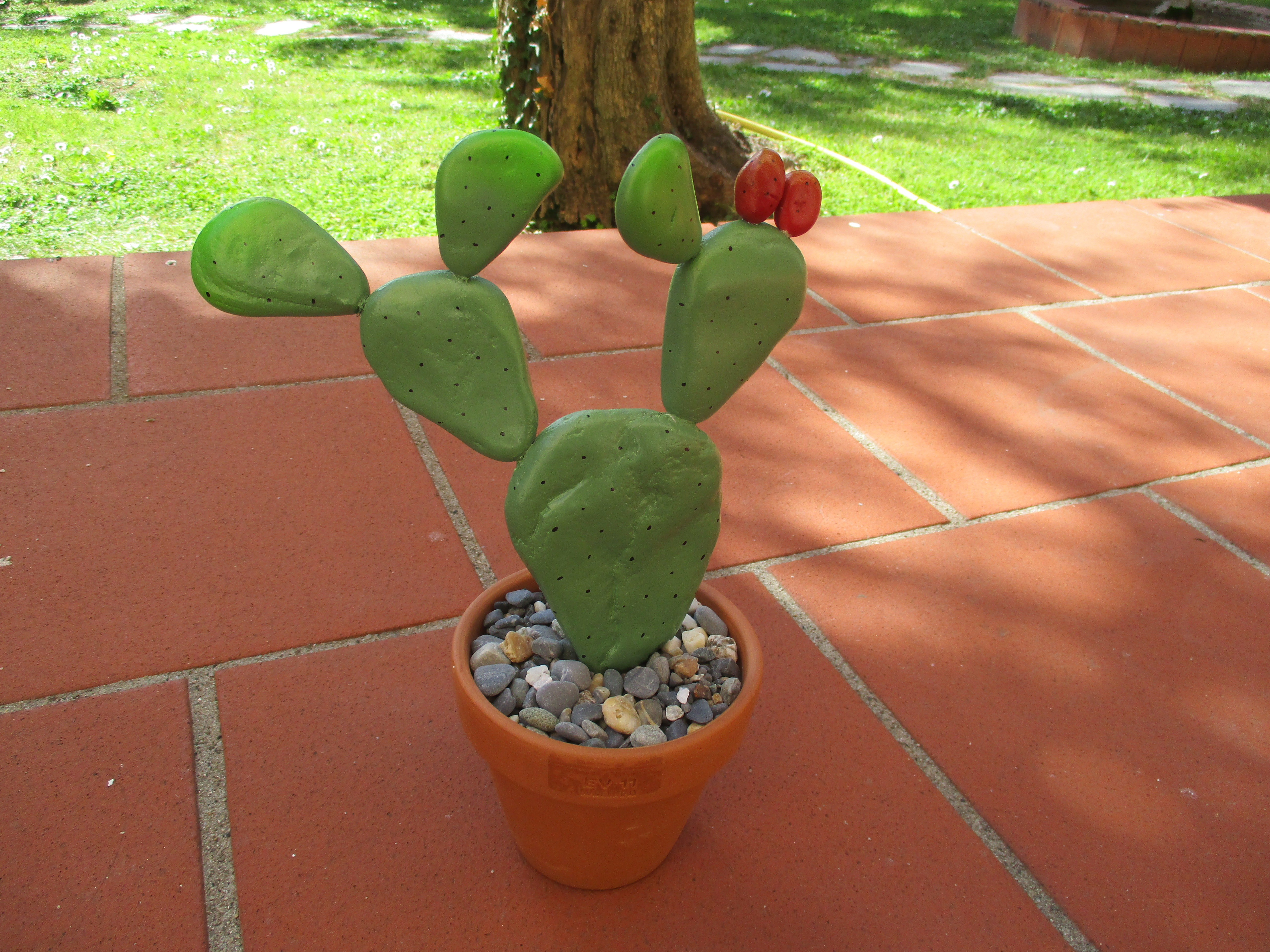 pebble_cactus7.JPG