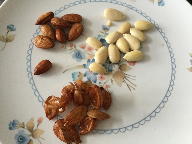 peeled almonds.jpg