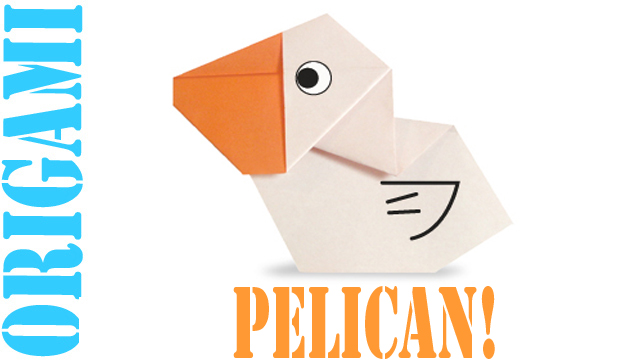 pelican.jpg