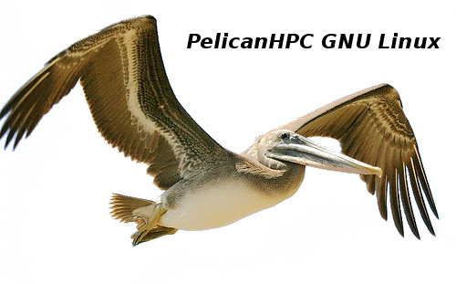 pelicanlogo.png